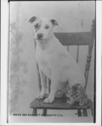 Mayor and mascott [sic] of Graton, [California]