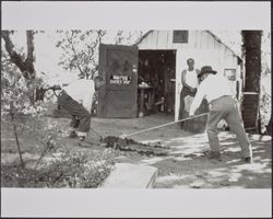 Redwood Rangers at the O'Connors Ranch, Sonoma County, California, September 29, 1946