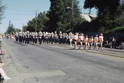 Analy High School Band in the Apple Blossom Parade on North Main Street, Sebastopol, Calif., Apr. 4, 1981