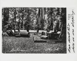 Camp fire, Bohemian Grove, California