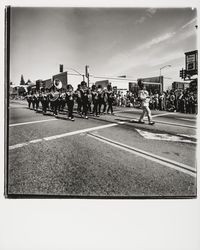 Marching units in Apple Blossom Parade, Sebastopol, California, 1978