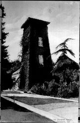 Ivy covered tower, Petaluma, Cal