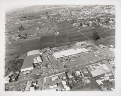 Aerial view of Roseland Shopping Center, Santa Rosa, California, 1960