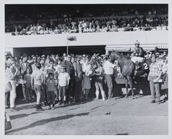 Winning horse and jockey with fans in the Winner's Circle at the Sonoma County Fair Racetrack, Santa Rosa, California