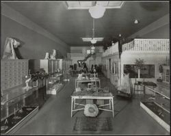 Unidentified Petaluma, California store interior, California, in the early 1900s