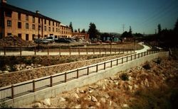 Looking east along north bank of Santa Rosa Creek