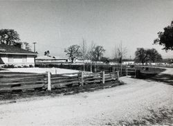 Dei Dairy Ranch located at 831 High School Road, Sebastopol, California, about 1963