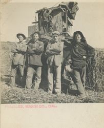 Summer workers in hay fields near Petaluma, California, about 1898