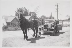 Horse pulling a car near Penngrove