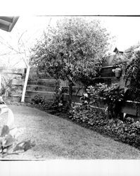 Garden areas at homes in Larkfield Maples housing development