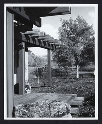 Art Building and pond at Sonoma State University