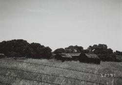 Chicken houses located at 195 Cinnabar Avenue, Petaluma, California, May 27, 1997