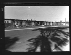 McKinley Elementary School, Petaluma, California, about 1958