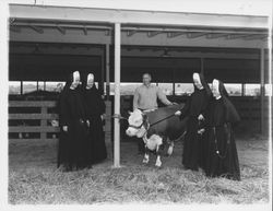 Earl Dolcini with four nuns and a steer at the Fair, Petaluma, California, 1959