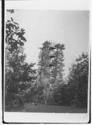 Living tower, Camp Meeker