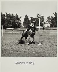 Pole racing on Farmers' Day at the Sonoma County Fair, Santa Rosa, California