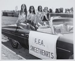 FFA Sweetheart contestants Miss Sonoma (unidentified) , Jennifer Lundy, Cindy Ackerman, and Janet Kemp at the Sonoma County Fair, Santa Rosa, California, 1974