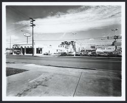 Bishop Hansel Ford, Santa Rosa, California, 1965