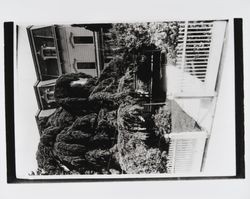 Front walkway and entrance to Hotel Lebanon at 426 Mendocino Avenue in Santa Rosa, California, 1910