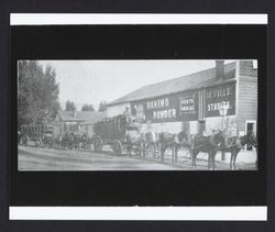 Mule teams lined up waiting to weigh tan bark on Broad Street, Cloverdale