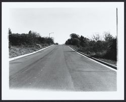 Alta Vista Avenue, Santa Rosa, California, 1964