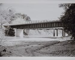 Construction of new Dry Creek Bridge, Dry Creek Valley, Healdsburg, California, 1951