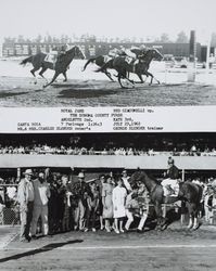 Photo finish and Winner's Circle for the Sonoma County Purse at the Sonoma County Fair Racetrack, Santa Rosa, California