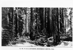 N.W.P.R.R. entering Bohemian Grove, California