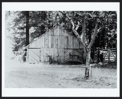 Unidentified Sonoma County barn