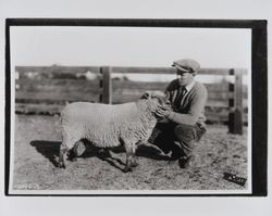 William Braun--member of the Santa Rosa High School stock judging team