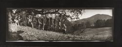 Deer hunters, their dog, and deer hanging from a tree limb, Sonoma County, California, 1923