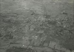 Aerial view of Sebastopol