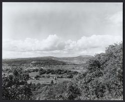 Looking north from Taylor Mountain, Santa Rosa, California, 1965