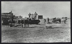 Harvesting hay near Petaluma using a J. R. Monarch hay press