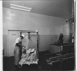 Cheese making at the Sonoma Cheese Factory, Sonoma, California, 1972