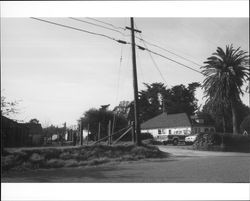 Cornelius McCarthy Ranch, Penngrove, California, 1992