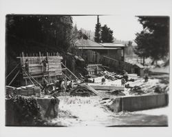 Workers building retaining wall forms on the site of reconstruction of St. Elizabeth's, Guerneville, California, 1935