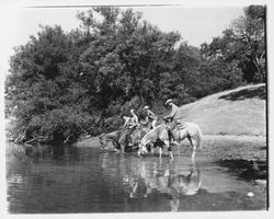 Horses drinking from Annie John Pond at Palomino Lakes, Cloverdale, California, 1961