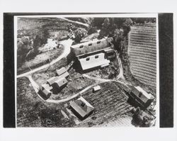 Unidentified vineyard and barns in northern Sonoma County, California, early 1900s