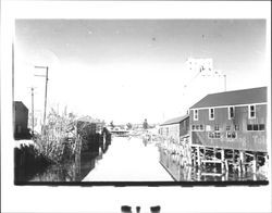 Looking north from Washington Street bridge, Petaluma, California, 1947