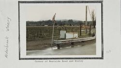 Entrance to the Alderbrook Vineyards