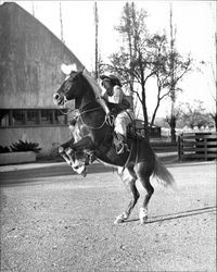 Isabel Poshepny of the California Centaurs mounted junior drill team on Shawnee at Sonoma Fairgrounds, Santa Rosa, California, 1946