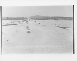 Flooding in Denman flats, Petaluma, California, 1958