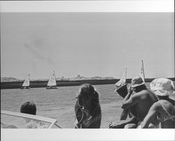 Sailboat race on the Petaluma River on July 28, 1973