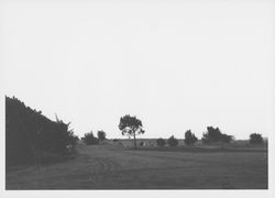 View of the golf course at Sea Ranch