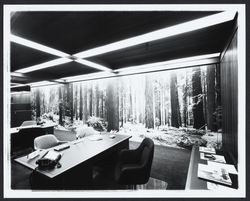 Redwood mural at the Village Branch of the Exchange Bank, Santa Rosa, California, 1970