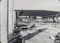 Unidentified Sonoma County, California, industrial building under construction, 1975