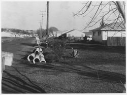 Storm sewer project on Estes Drive, Santa Rosa, California, 1950s