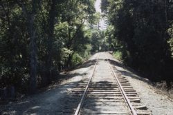 Petaluma & Santa Rosa Railway tracks at east of Hurlbut Ave. crossing, Sebastopol, Calif., May 1981