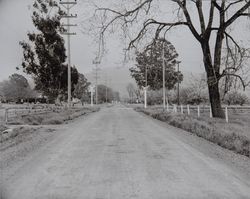 Bellevue District of Santa Rosa, California, 1952